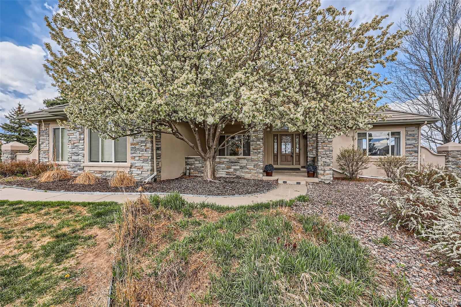 MLS Image #2 for 1289  diamond ridge circle,castle rock, Colorado