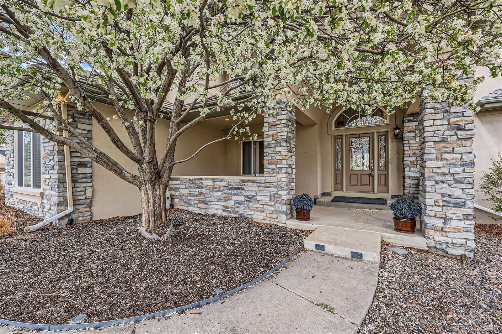 MLS Image #3 for 1289  diamond ridge circle,castle rock, Colorado