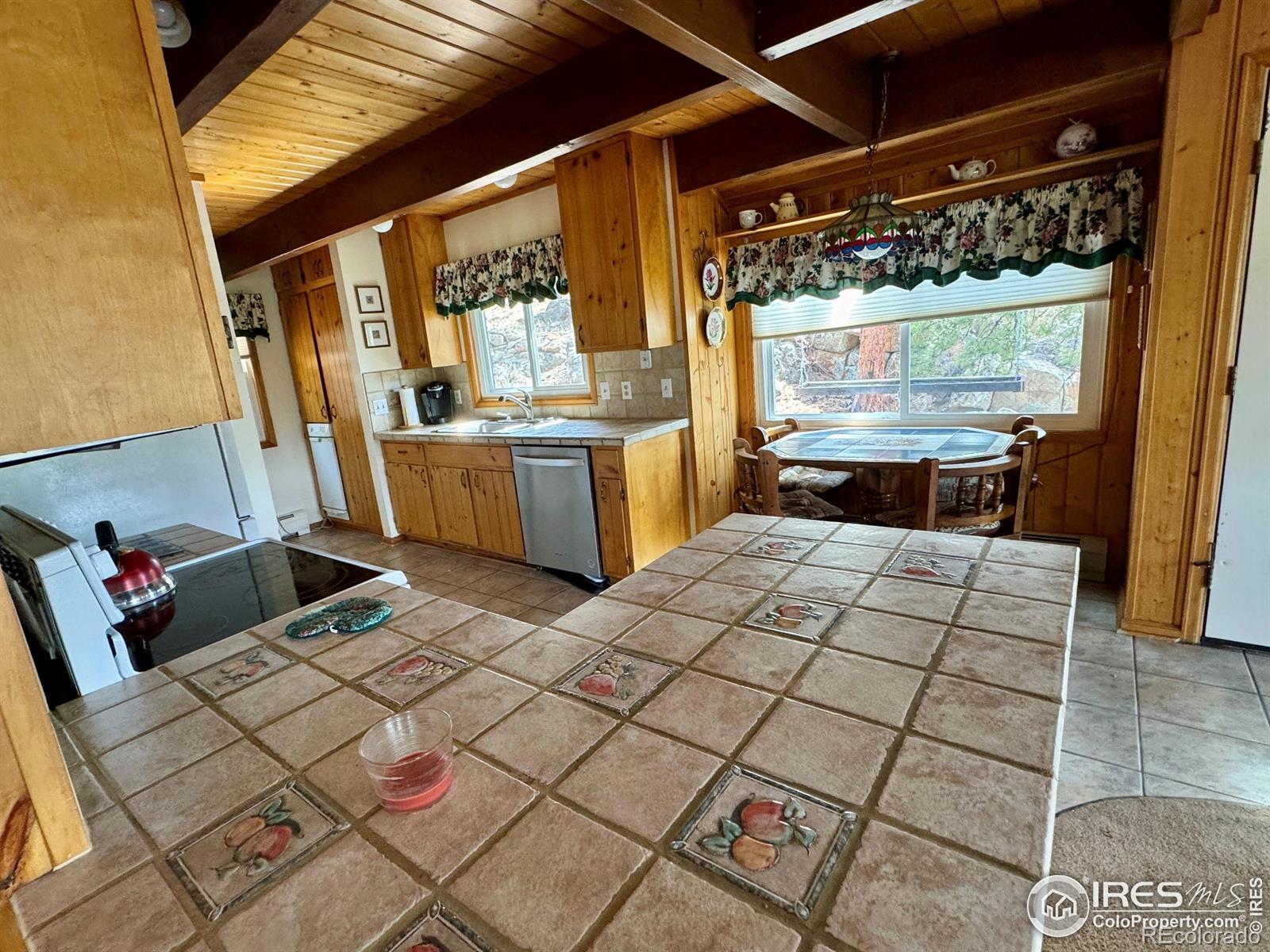 MLS Image #4 for 671  heinz parkway,estes park, Colorado