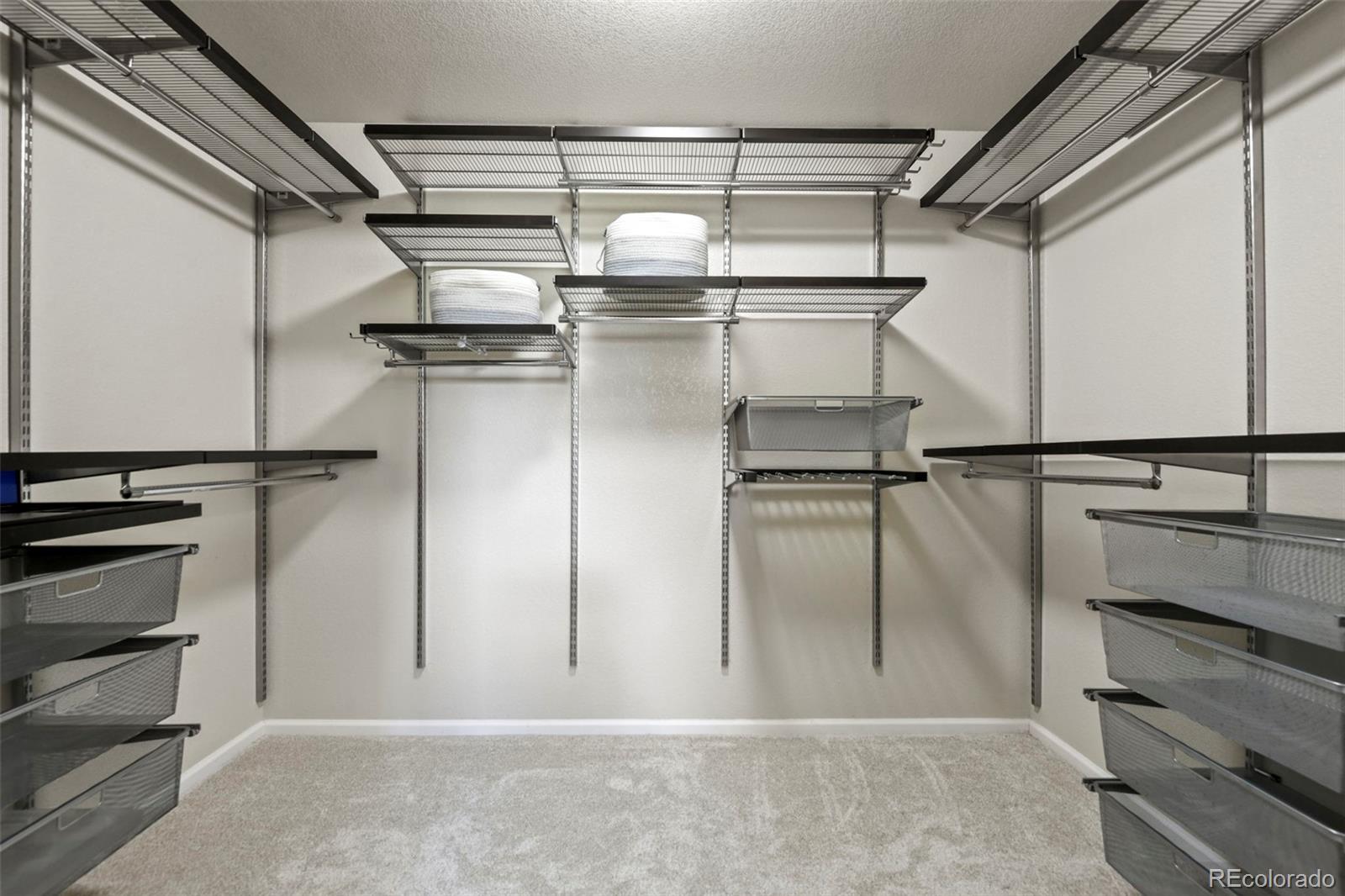MLS Image #23 for 2815  dreamcatcher loop,castle rock, Colorado