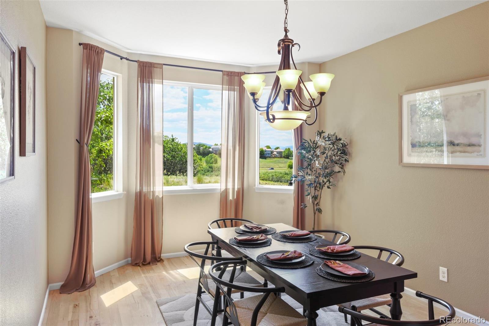 MLS Image #4 for 2815  dreamcatcher loop,castle rock, Colorado