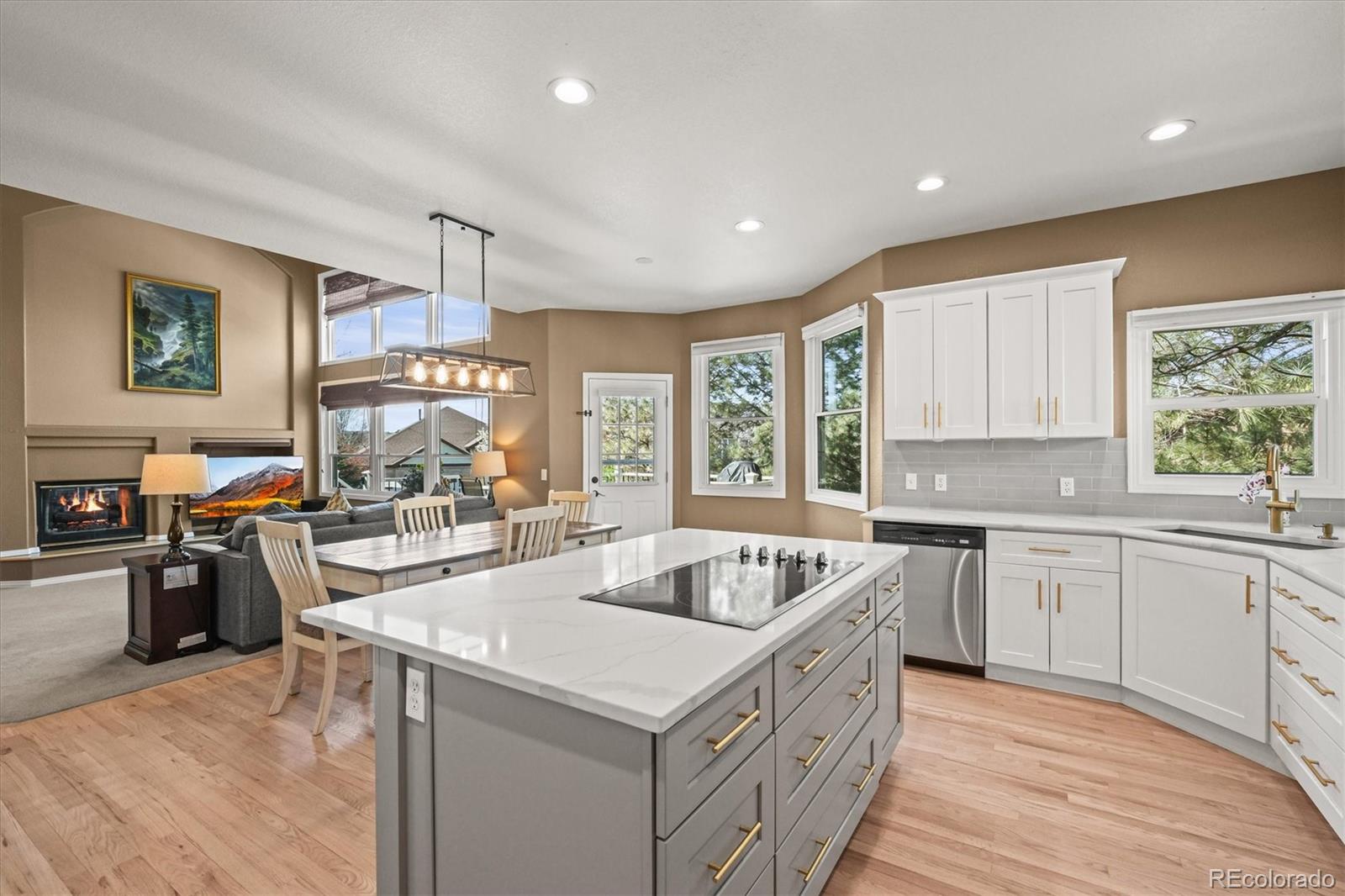 MLS Image #11 for 10831  eagle crest lane,parker, Colorado