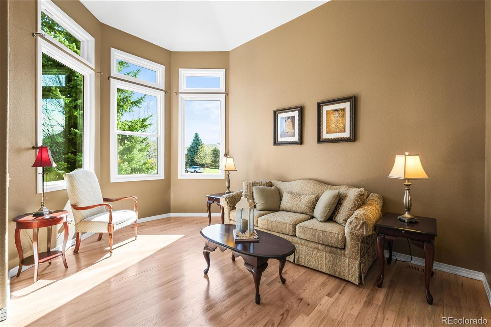 MLS Image #3 for 10831  eagle crest lane,parker, Colorado