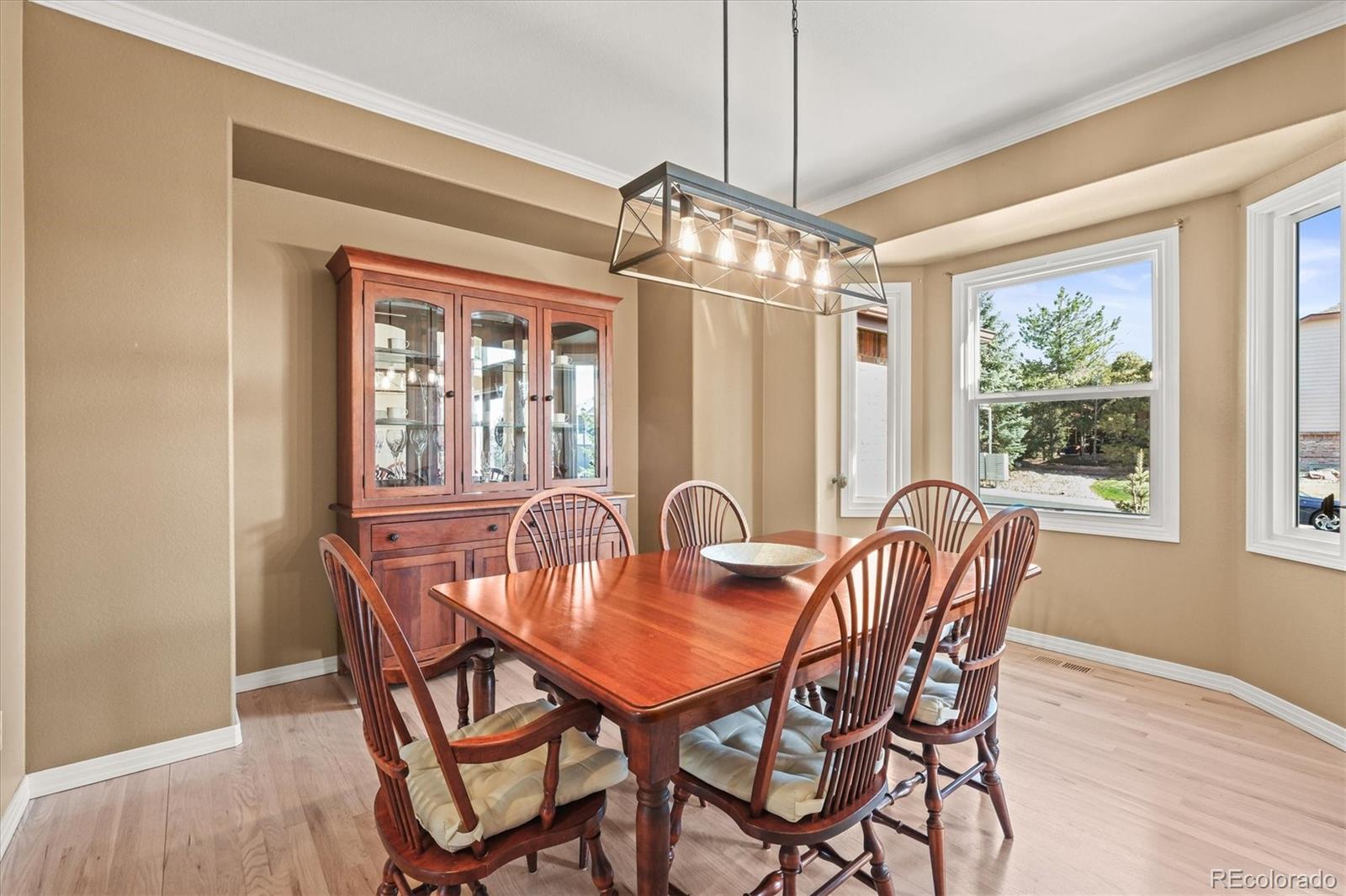 MLS Image #4 for 10831  eagle crest lane,parker, Colorado