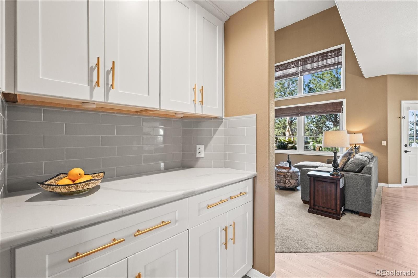 MLS Image #5 for 10831  eagle crest lane,parker, Colorado