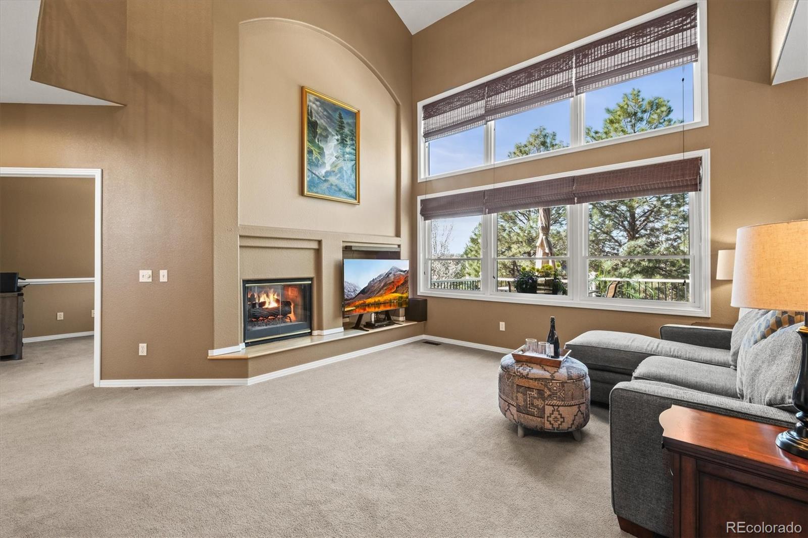 MLS Image #6 for 10831  eagle crest lane,parker, Colorado