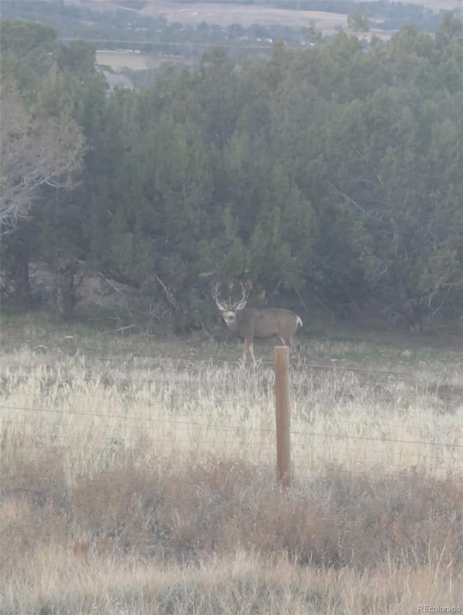 MLS Image #40 for 56001  kk (1 parcel) road,molina, Colorado