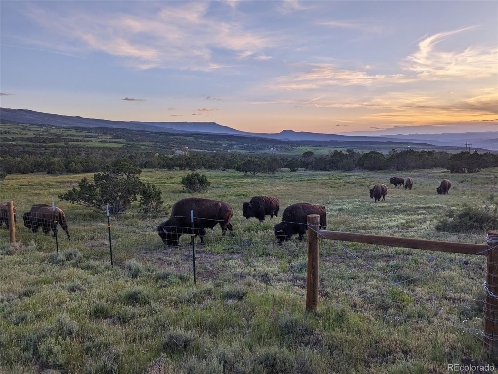 MLS Image #42 for 56001  kk (1 parcel) road,molina, Colorado