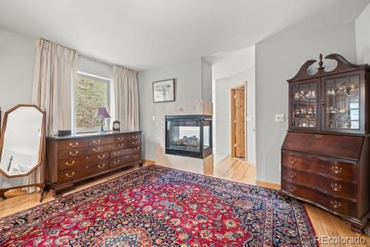 MLS Image #19 for 32209  blue springs drive,evergreen, Colorado