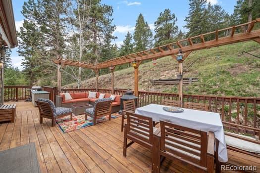 MLS Image #9 for 32209  blue springs drive,evergreen, Colorado