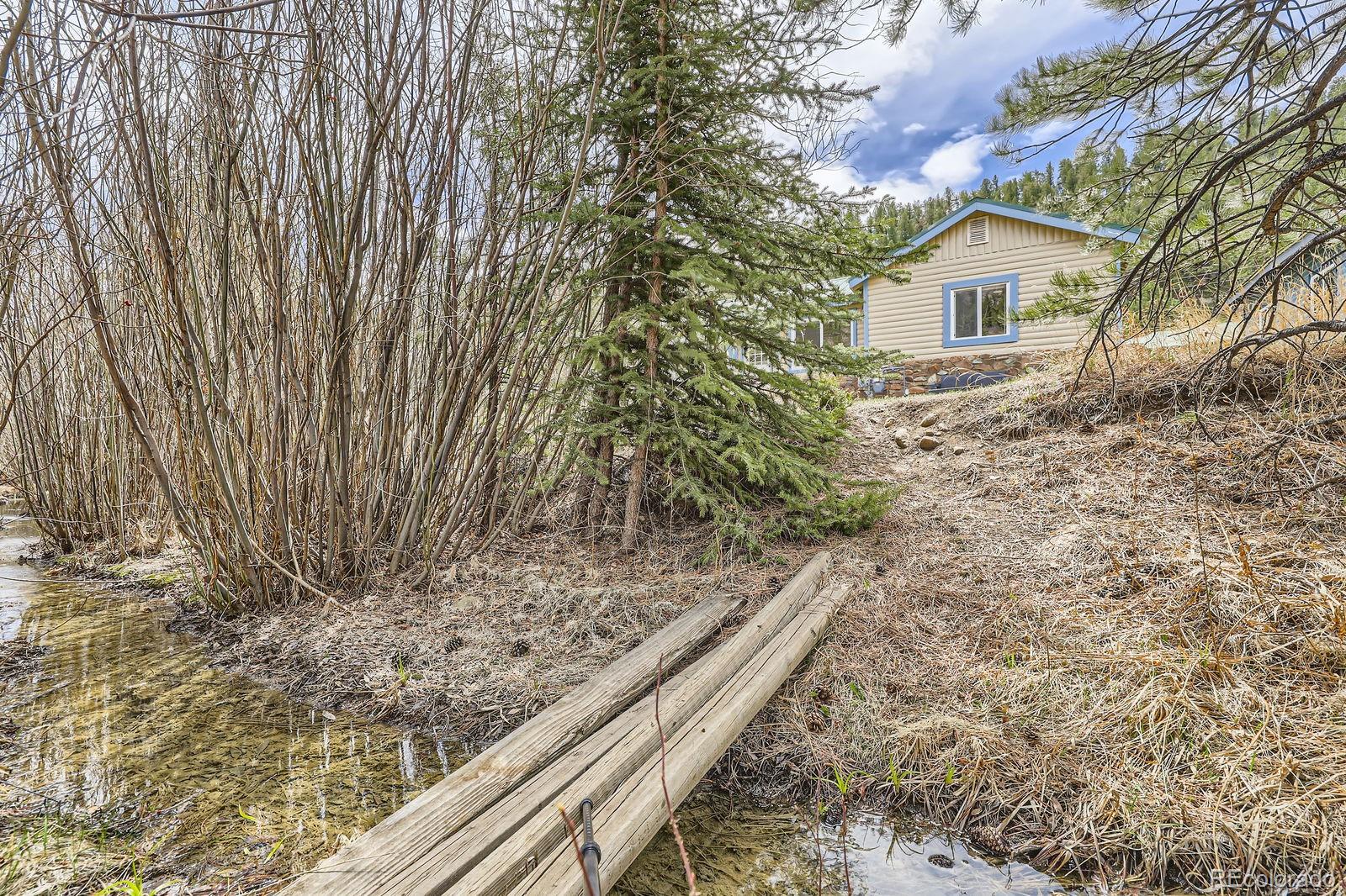 MLS Image #18 for 57920  us highway 285 ,bailey, Colorado