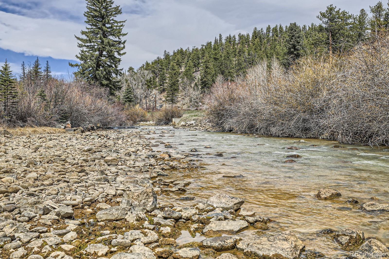 MLS Image #20 for 57920  us highway 285 ,bailey, Colorado