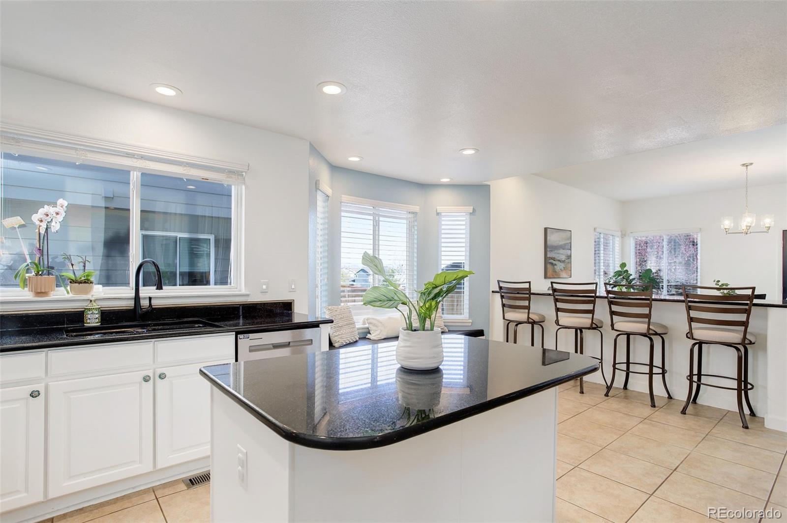 MLS Image #8 for 10081  blackbird circle,highlands ranch, Colorado