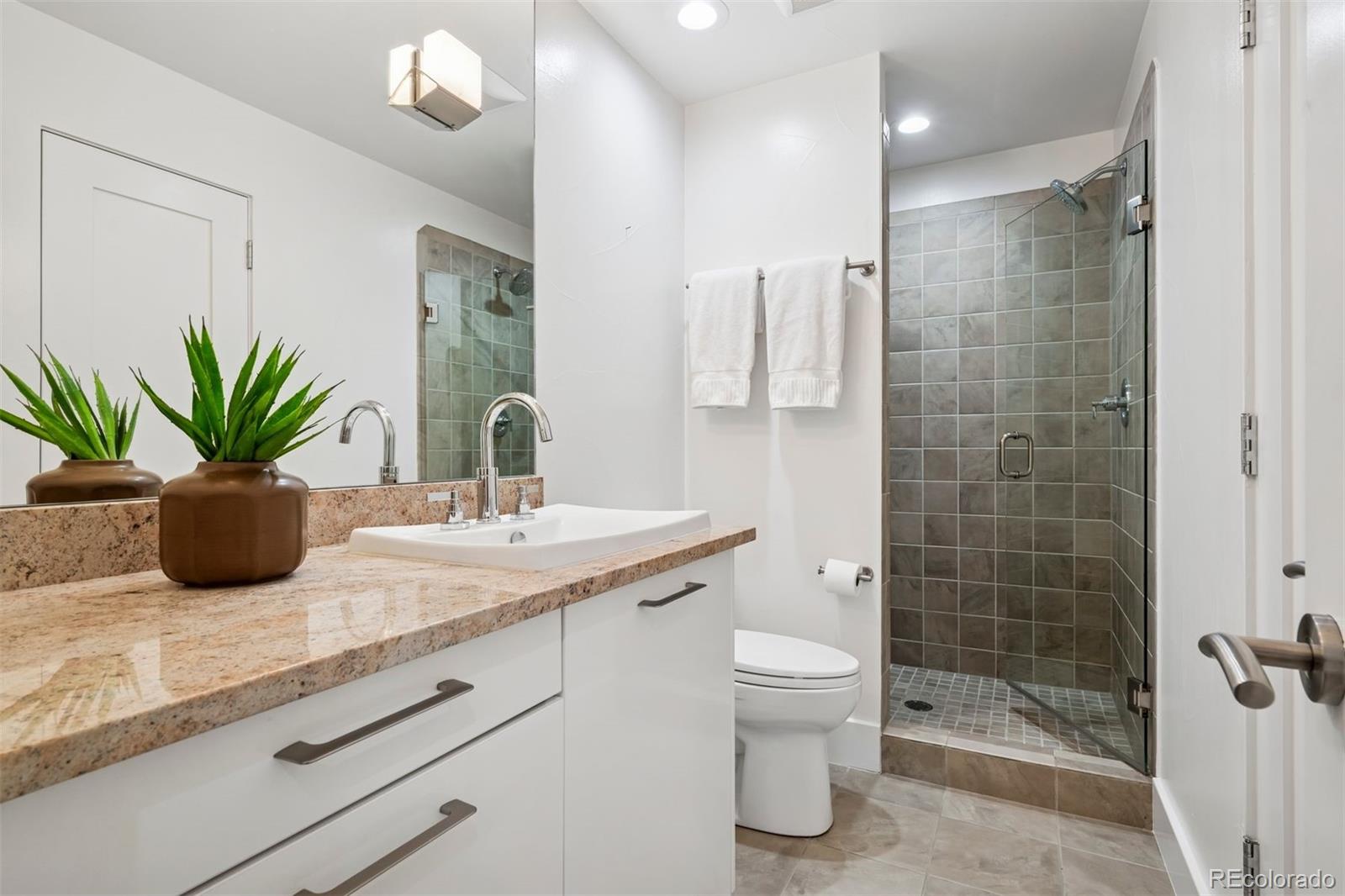 MLS Image #38 for 512  cook street,denver, Colorado