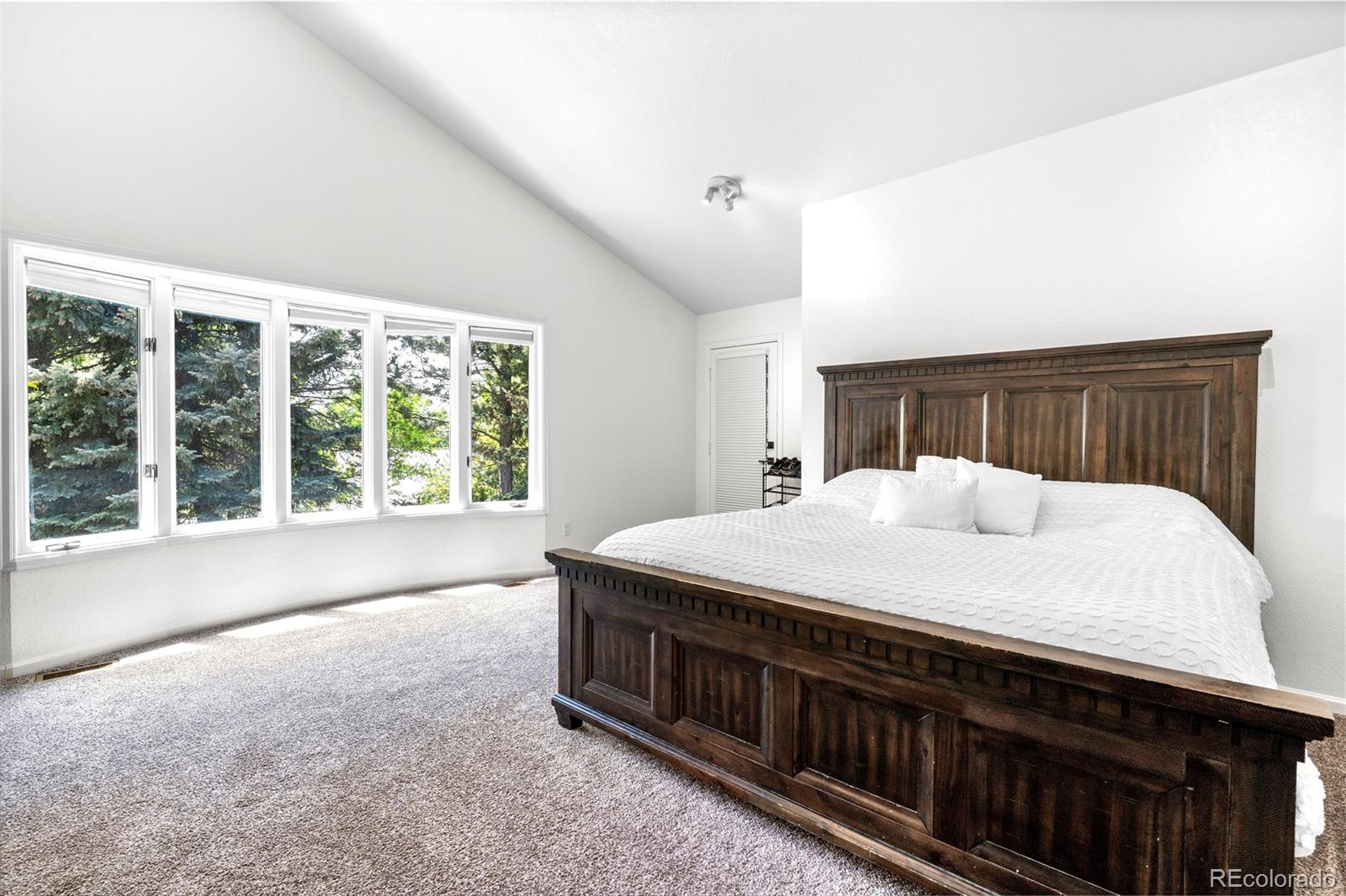 MLS Image #31 for 3253 s king way,denver, Colorado