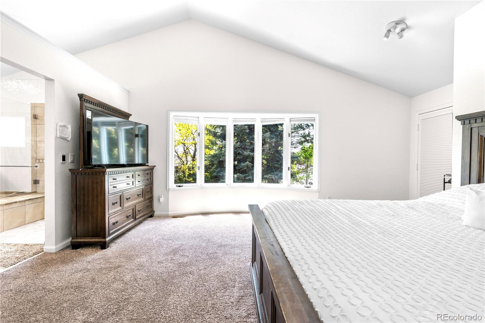MLS Image #32 for 3253 s king way,denver, Colorado