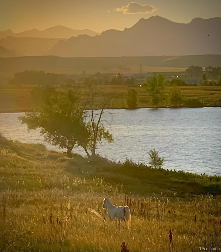 MLS Image #28 for 7552  miller court,arvada, Colorado