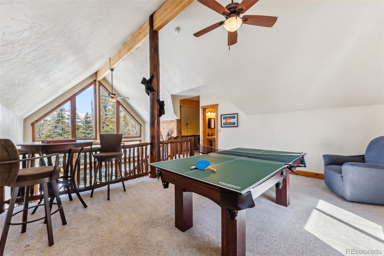 MLS Image #23 for 192  gold trail,fairplay, Colorado