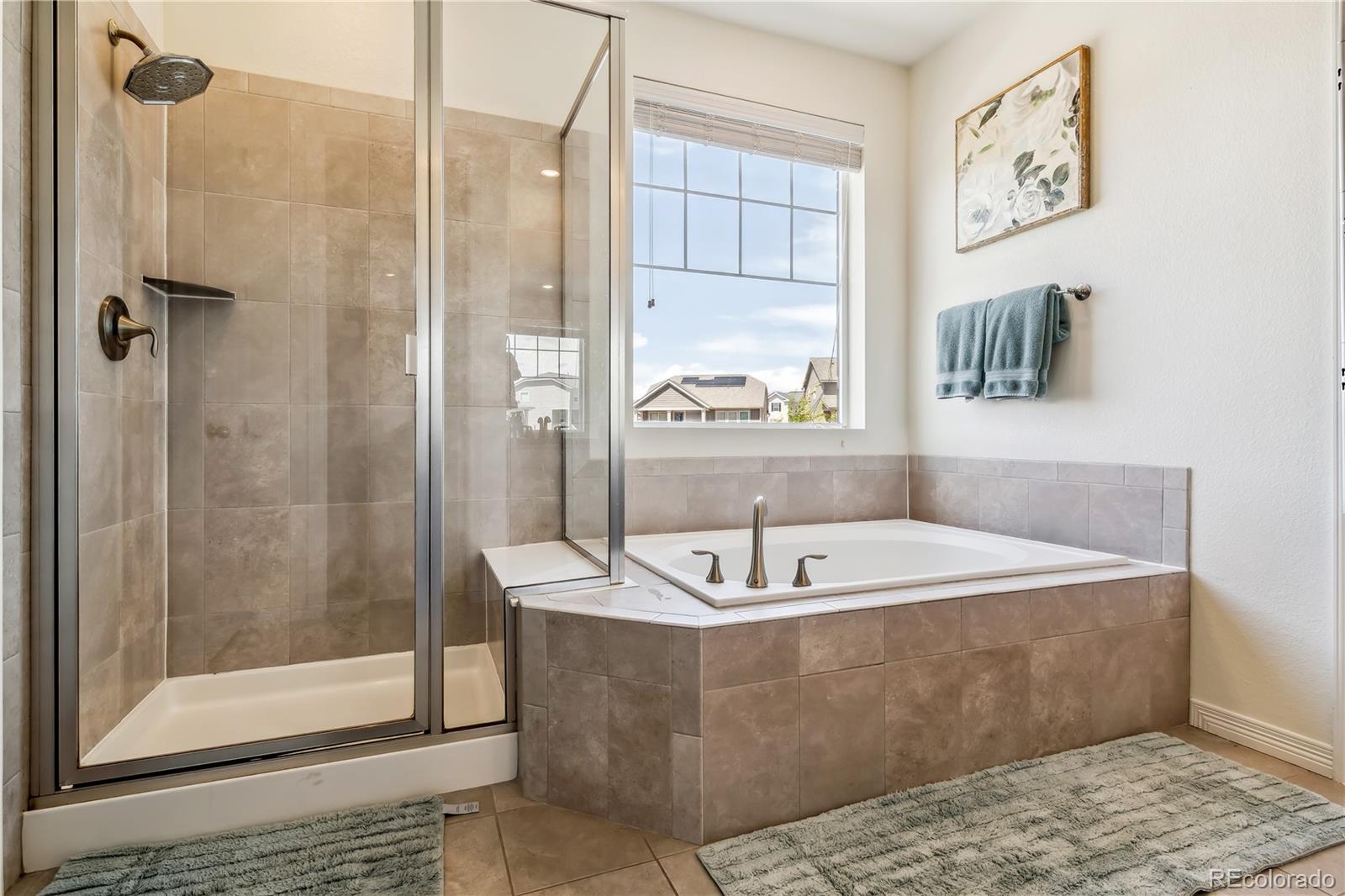 MLS Image #8 for 16201  lanceleaf place,parker, Colorado
