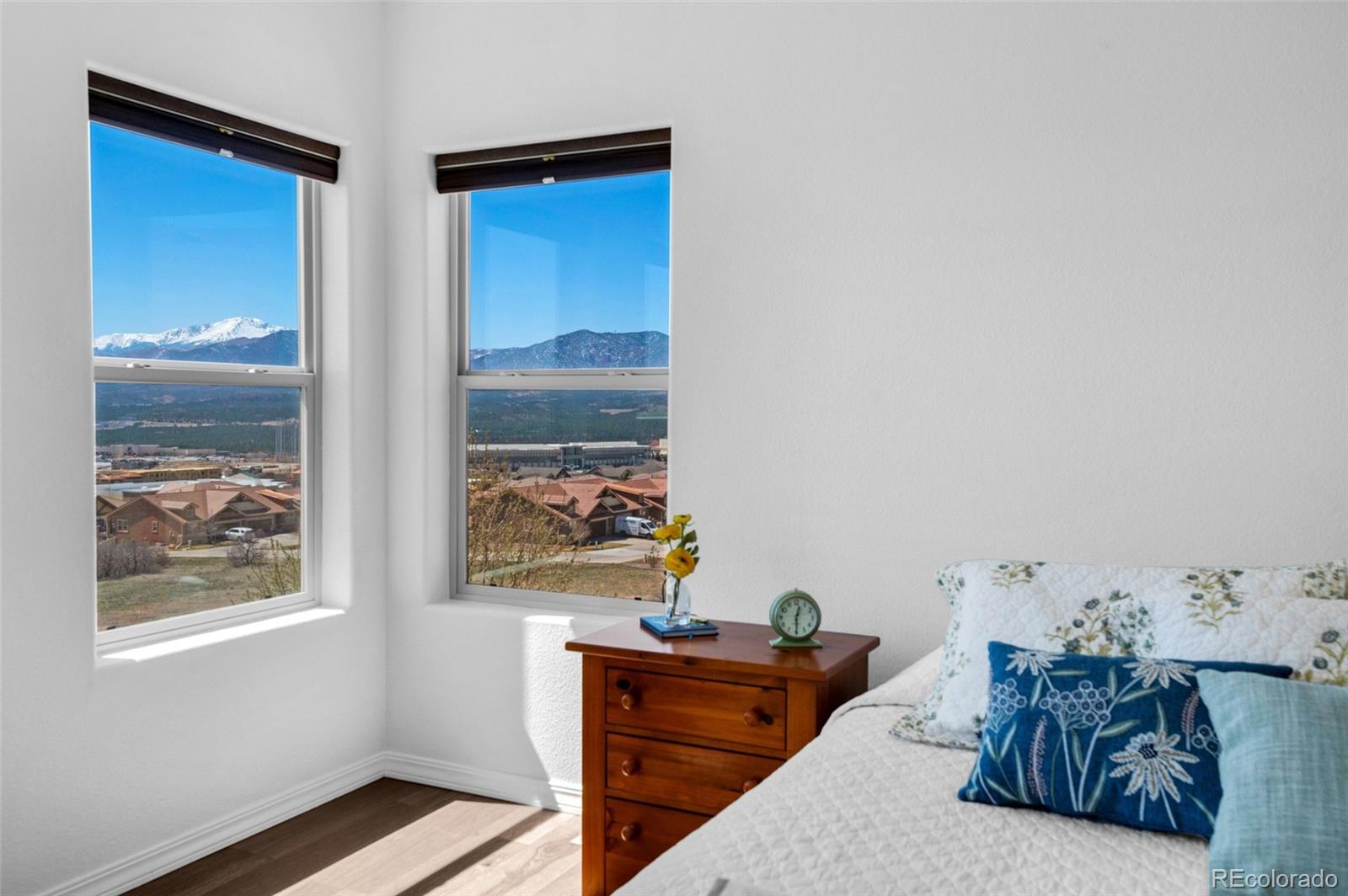 MLS Image #18 for 178  coyote willow ,colorado springs, Colorado