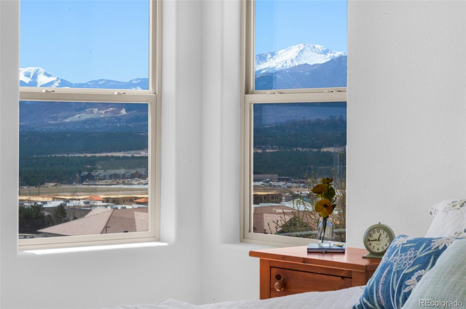 MLS Image #19 for 178  coyote willow ,colorado springs, Colorado