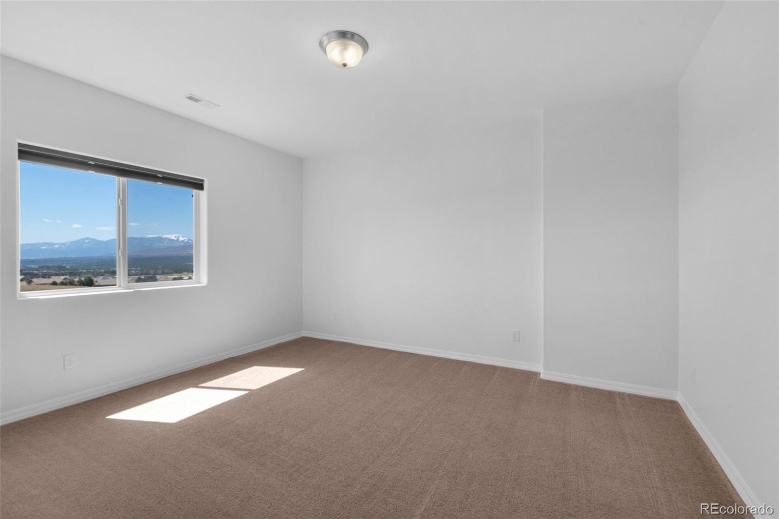 MLS Image #36 for 178  coyote willow ,colorado springs, Colorado