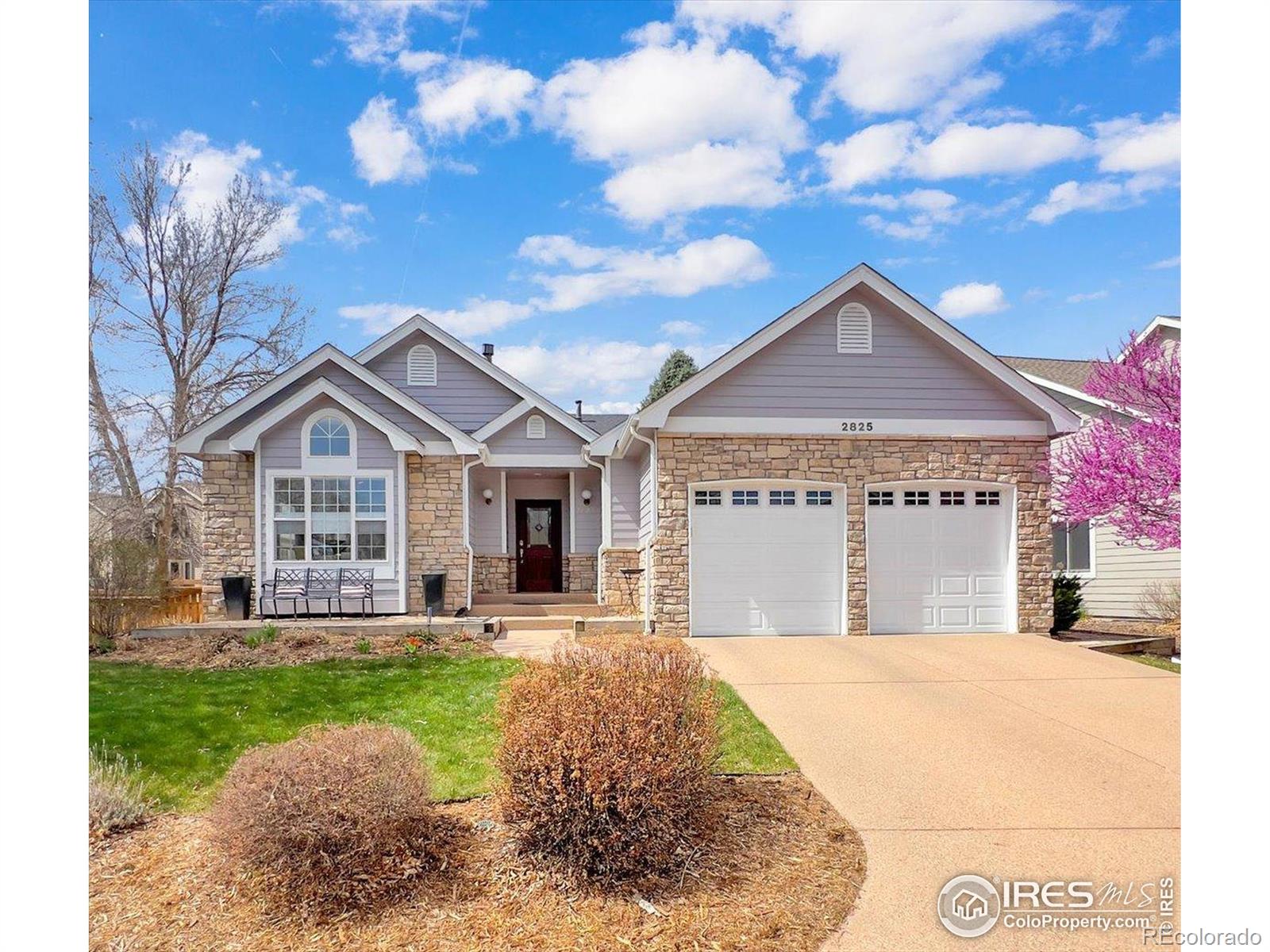 MLS Image #1 for 2825  fieldstone drive,fort collins, Colorado