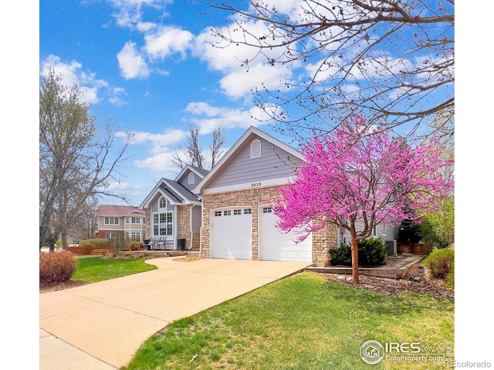 MLS Image #2 for 2825  fieldstone drive,fort collins, Colorado