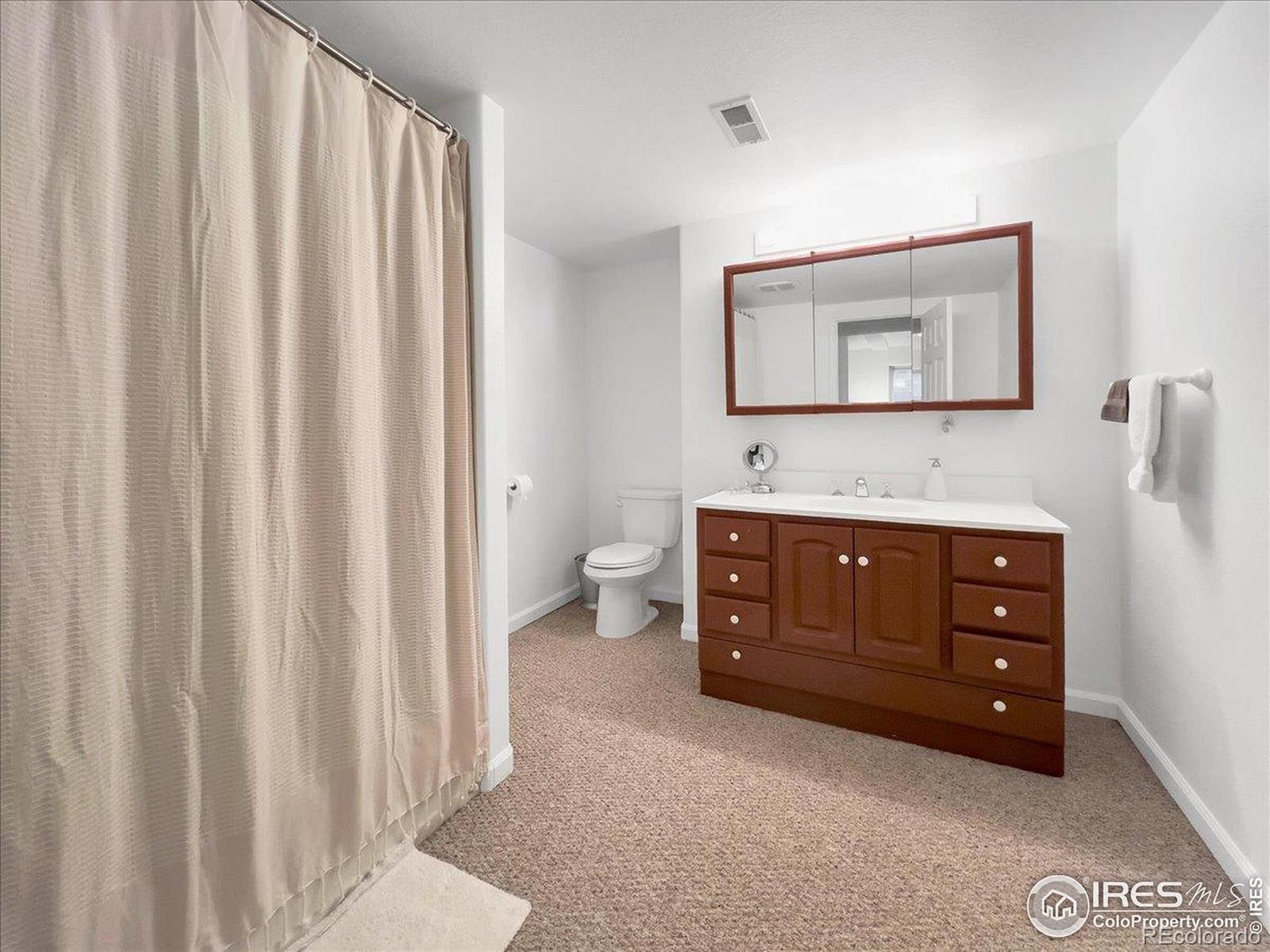 MLS Image #29 for 2825  fieldstone drive,fort collins, Colorado