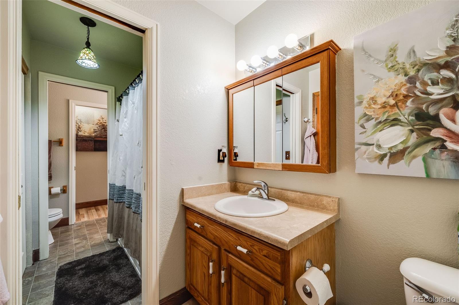 MLS Image #19 for 1328  carriage drive,longmont, Colorado