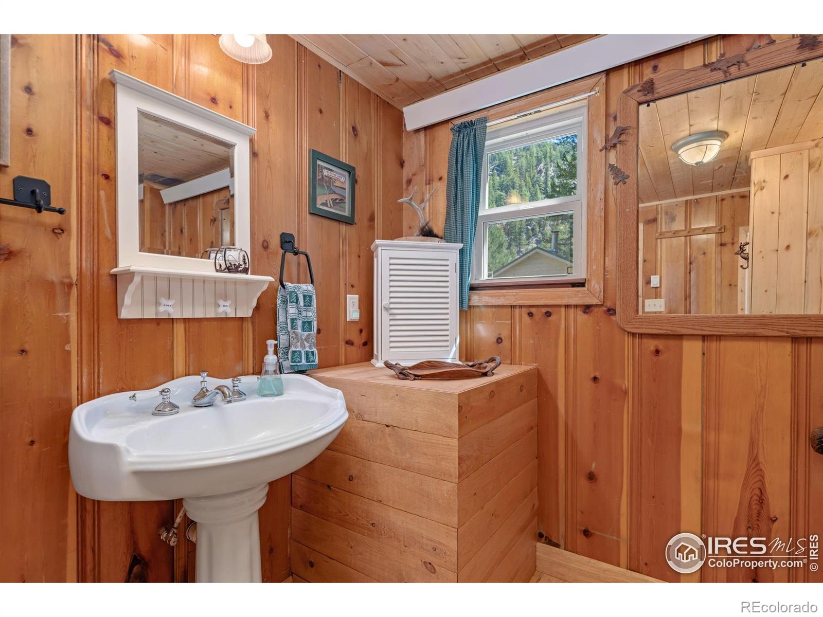 MLS Image #20 for 11  rainbow trout lane,drake, Colorado
