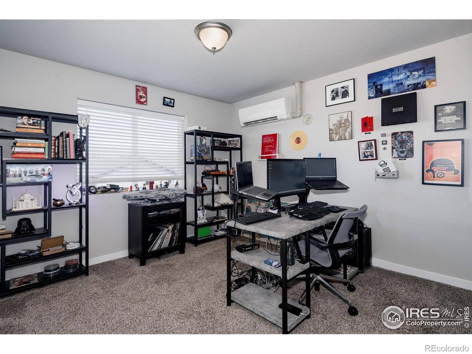 MLS Image #16 for 1746  avery plaza street,severance, Colorado