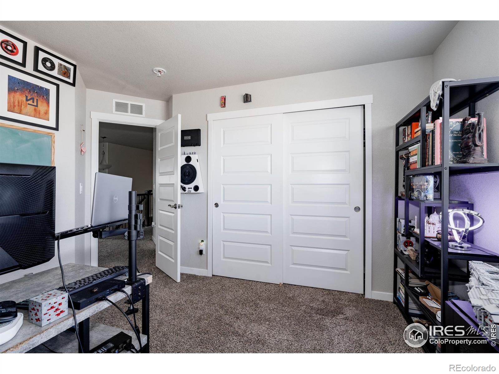 MLS Image #17 for 1746  avery plaza street,severance, Colorado