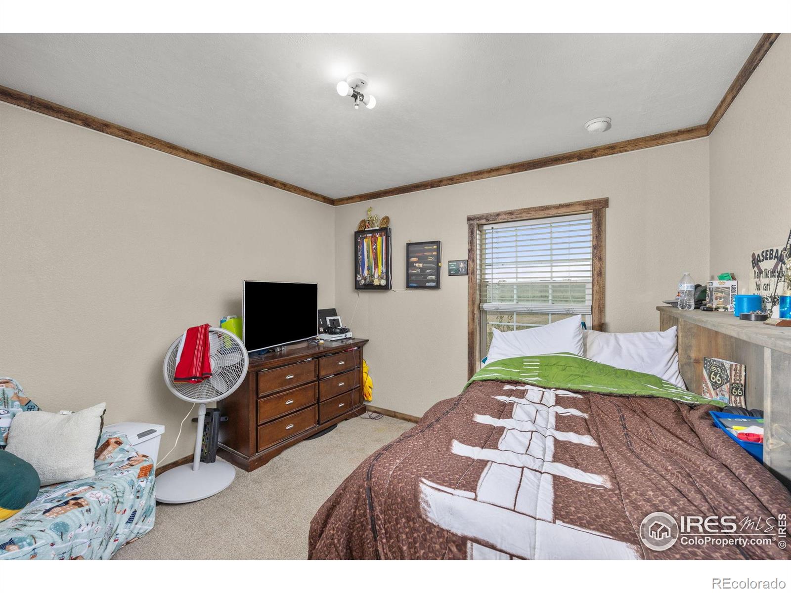 MLS Image #18 for 55102  county road 21 ,carr, Colorado
