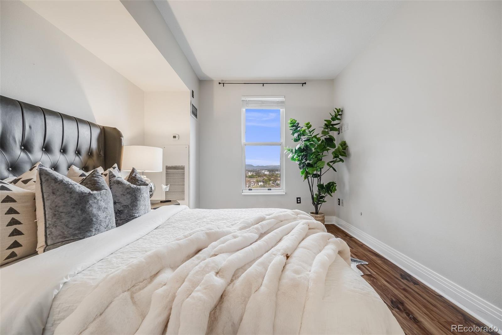 MLS Image #10 for 601 w 11th avenue 1101,denver, Colorado