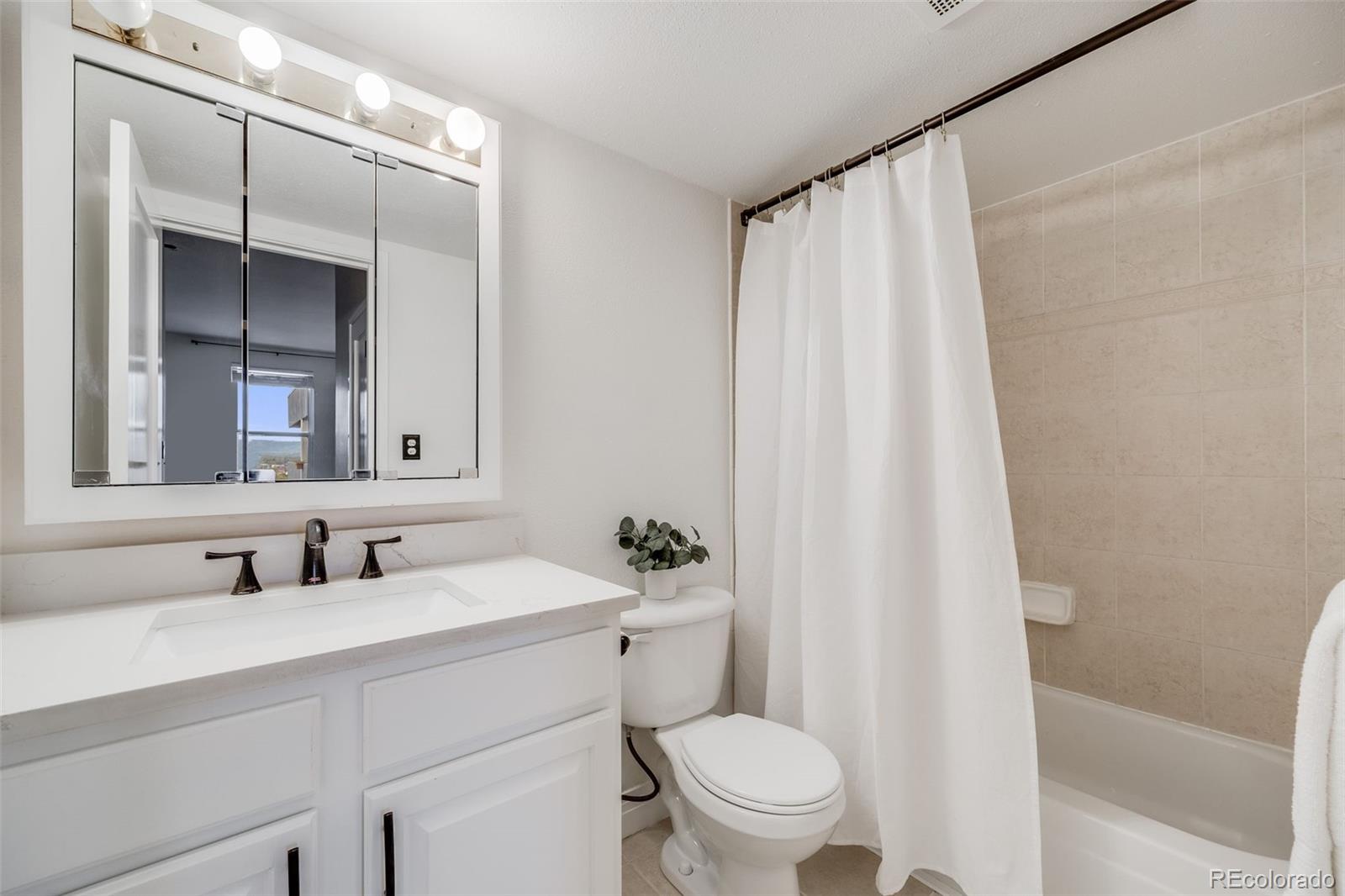 MLS Image #12 for 601 w 11th avenue 1101,denver, Colorado