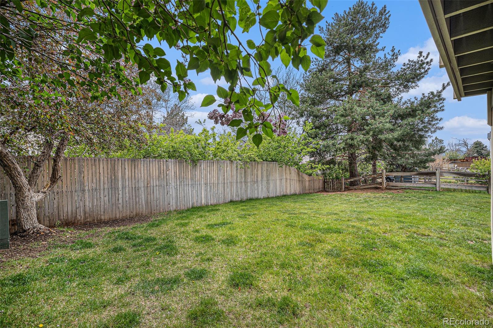 MLS Image #38 for 9921  spring hill place,highlands ranch, Colorado
