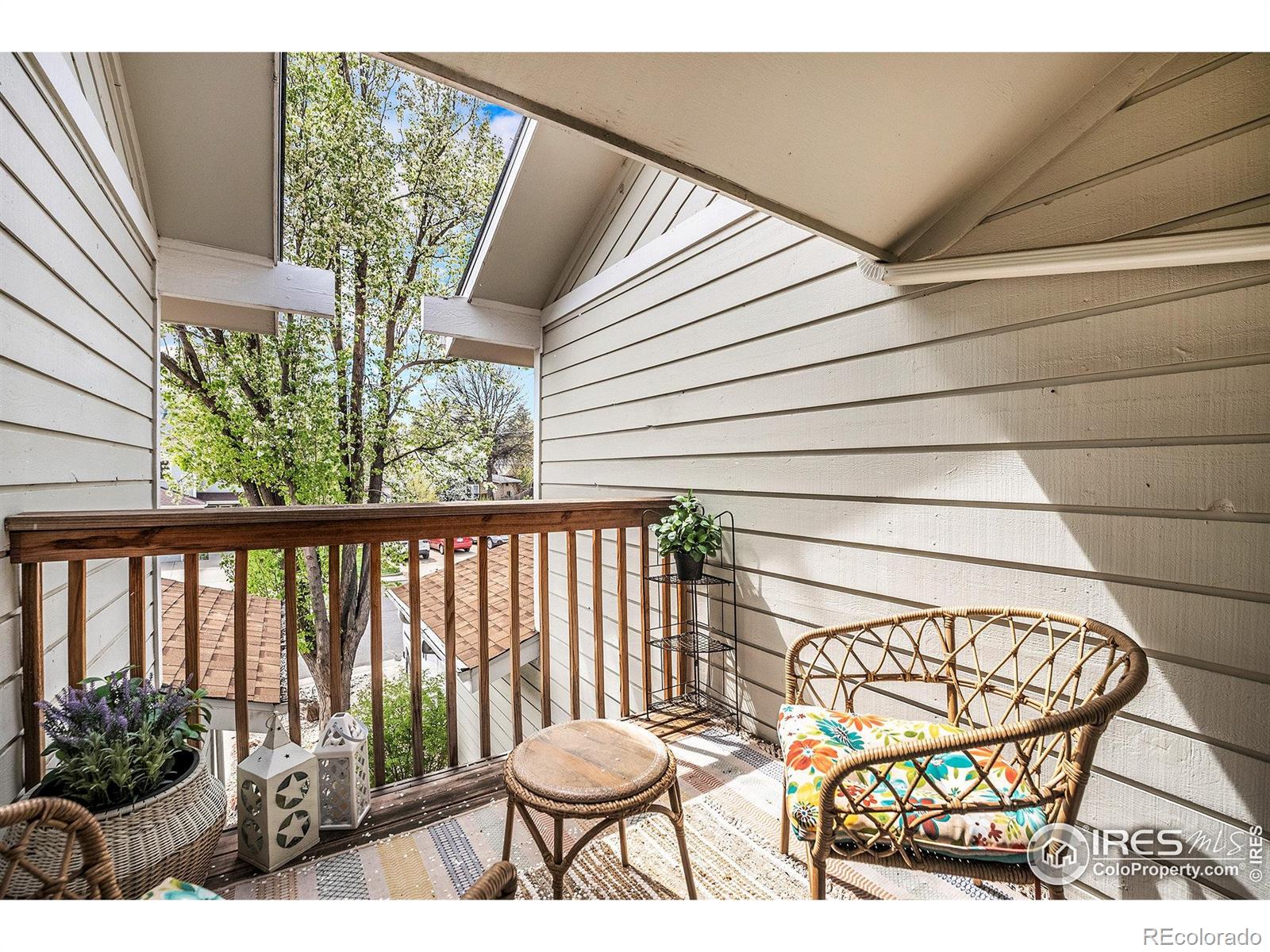 MLS Image #11 for 1226  atwood street,longmont, Colorado
