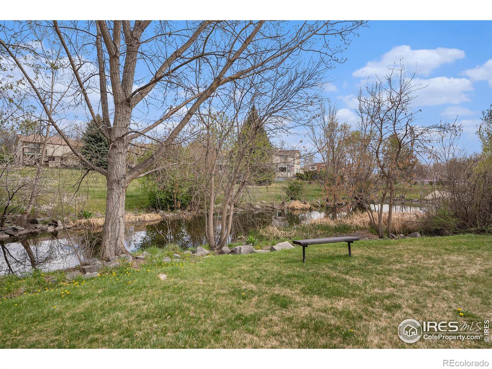 MLS Image #19 for 1226  atwood street,longmont, Colorado