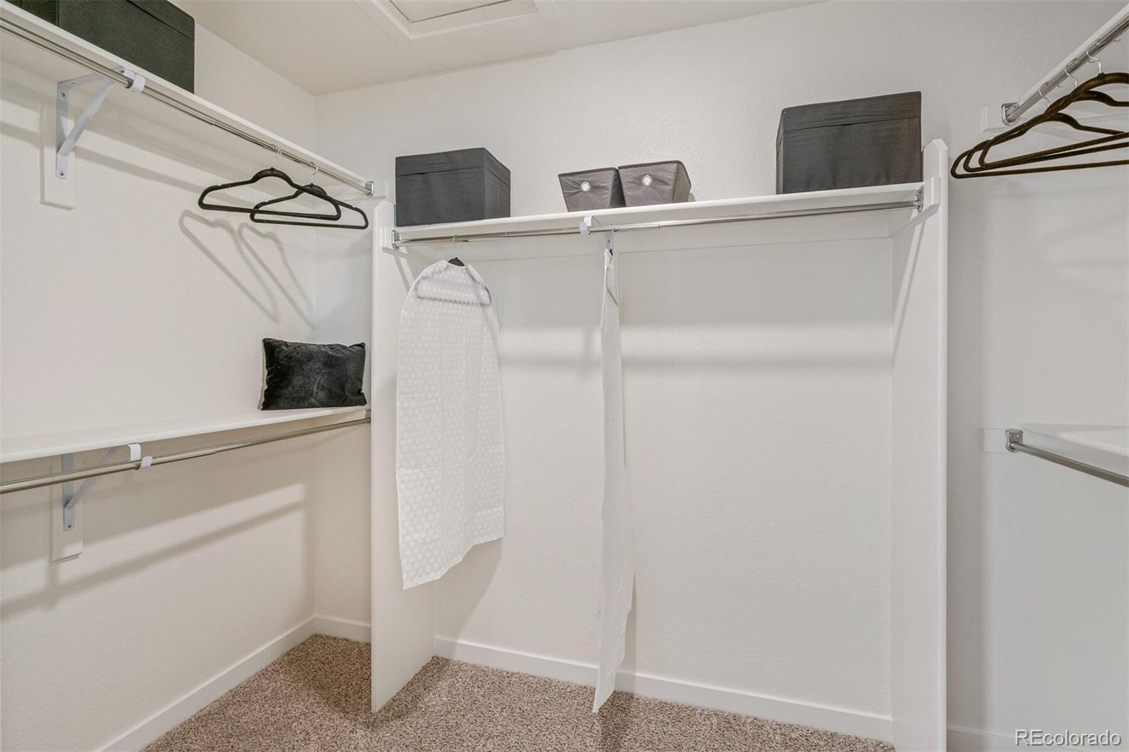 MLS Image #21 for 1626  knobby pine drive,fort collins, Colorado