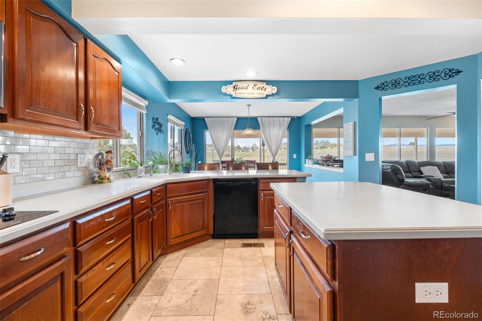 MLS Image #18 for 5090  golden valley trail,castle rock, Colorado