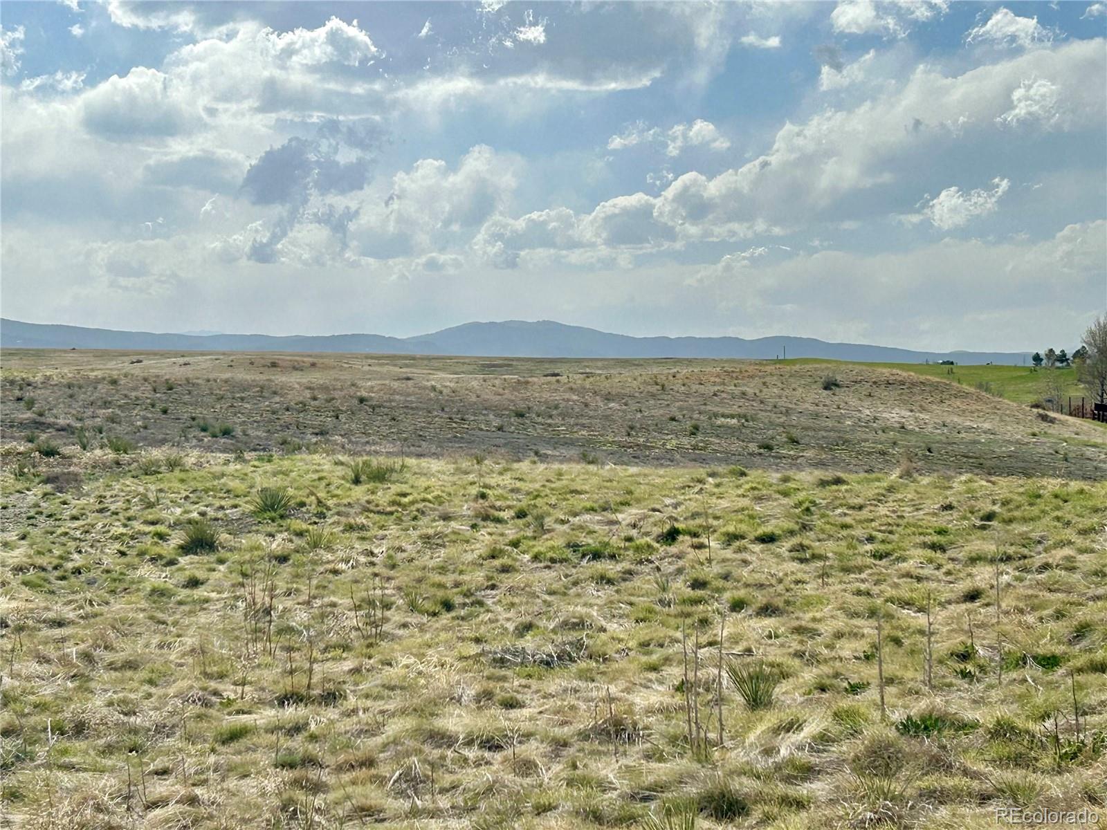 MLS Image #4 for 5090  golden valley trail,castle rock, Colorado