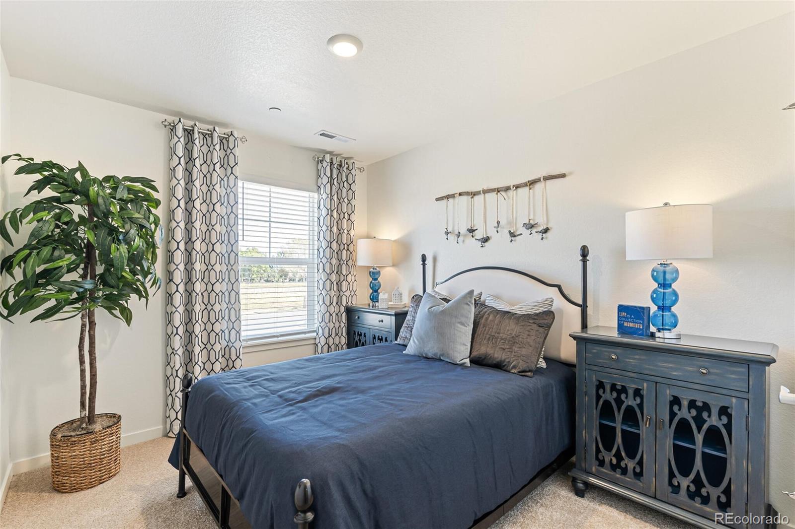 MLS Image #18 for 1634  knobby pine drive,fort collins, Colorado
