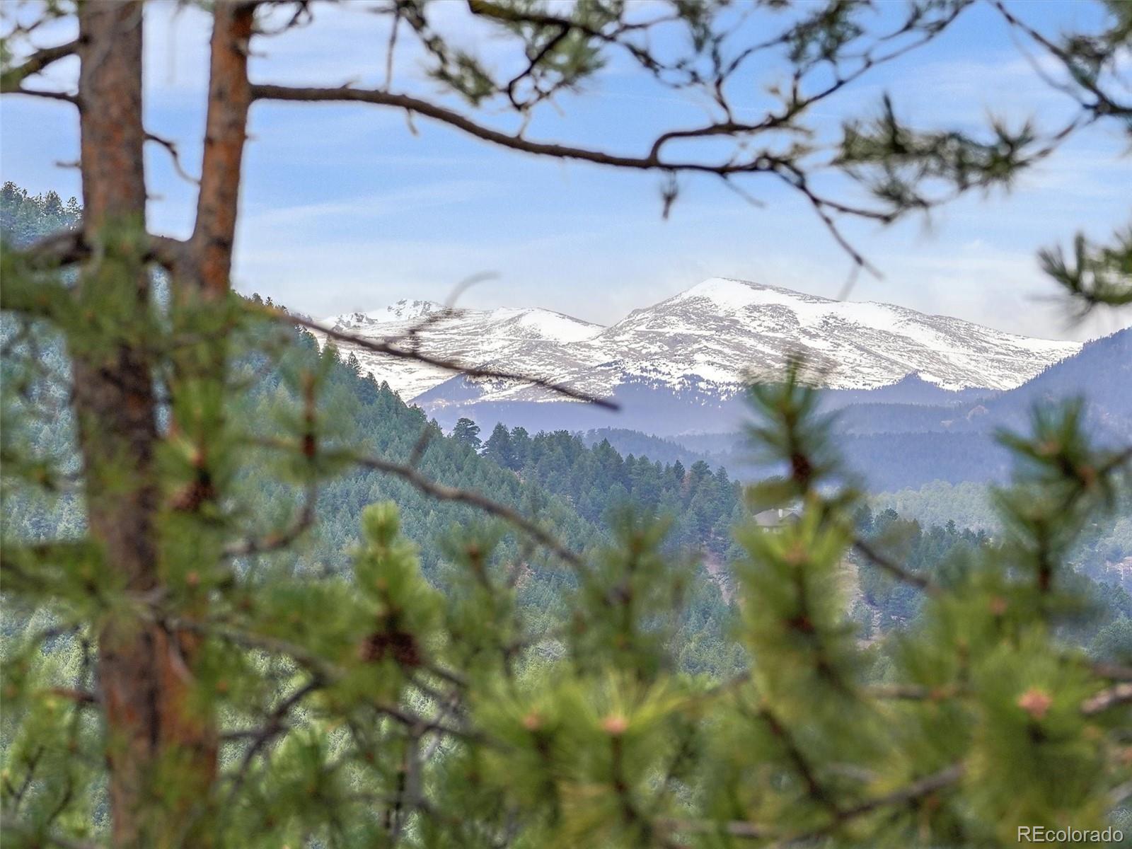 MLS Image #41 for 3173  gold yarrow lane,evergreen, Colorado