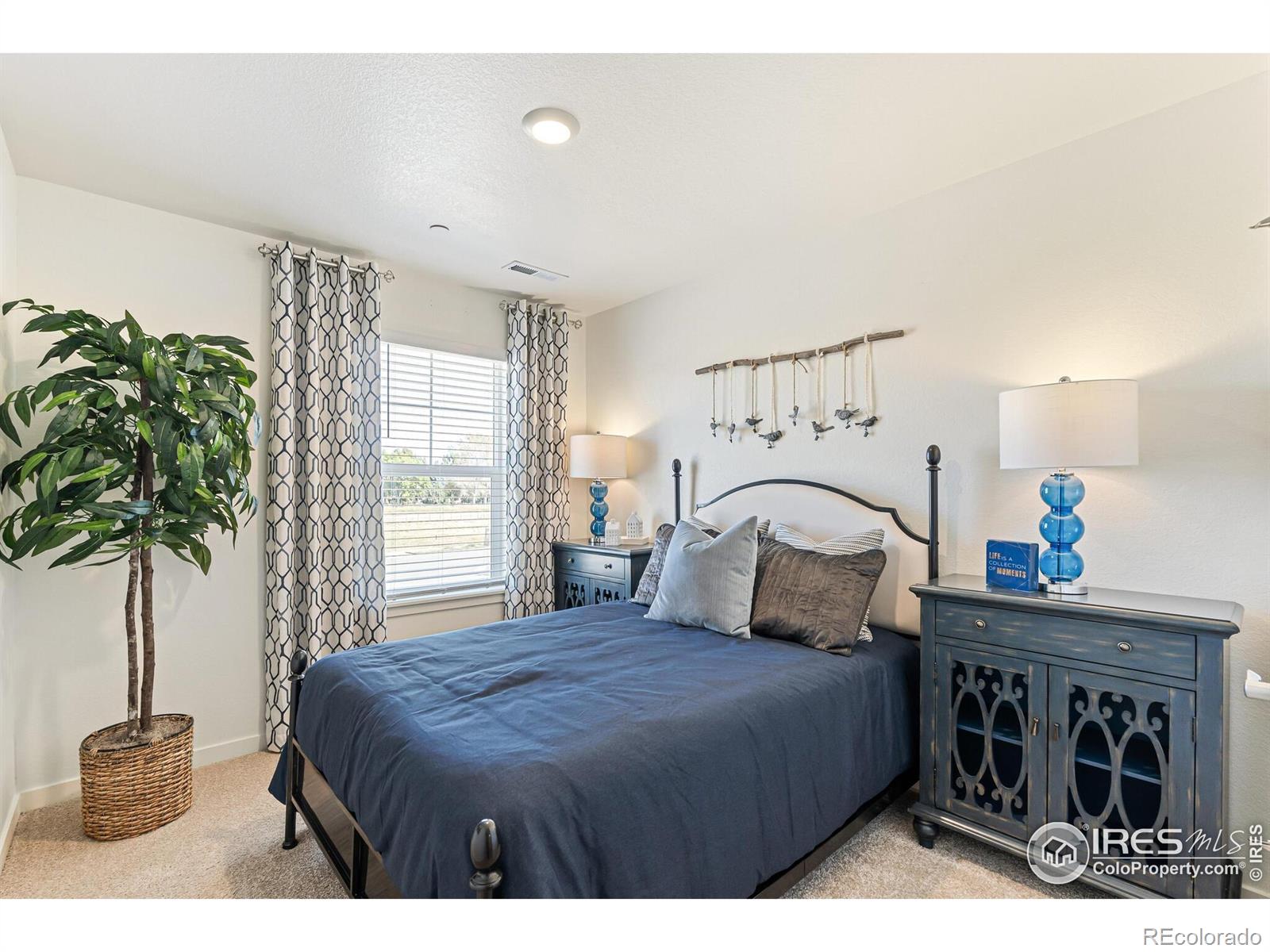 MLS Image #18 for 1634  knobby pine drive,fort collins, Colorado
