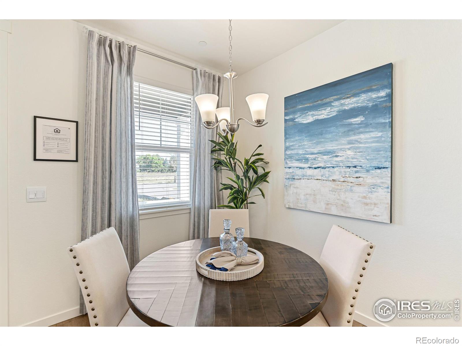 MLS Image #8 for 1634  knobby pine drive,fort collins, Colorado