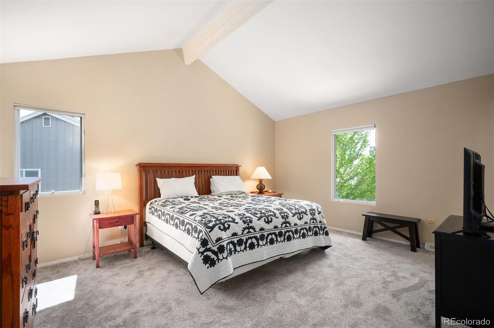 MLS Image #21 for 7414 s monroe court,centennial, Colorado