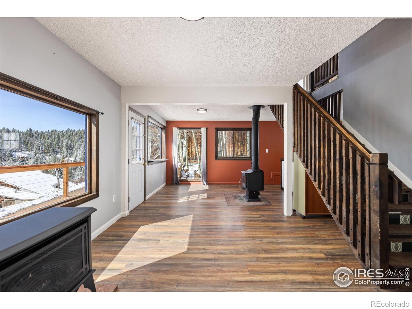 MLS Image #4 for 43  nelson street,ward, Colorado