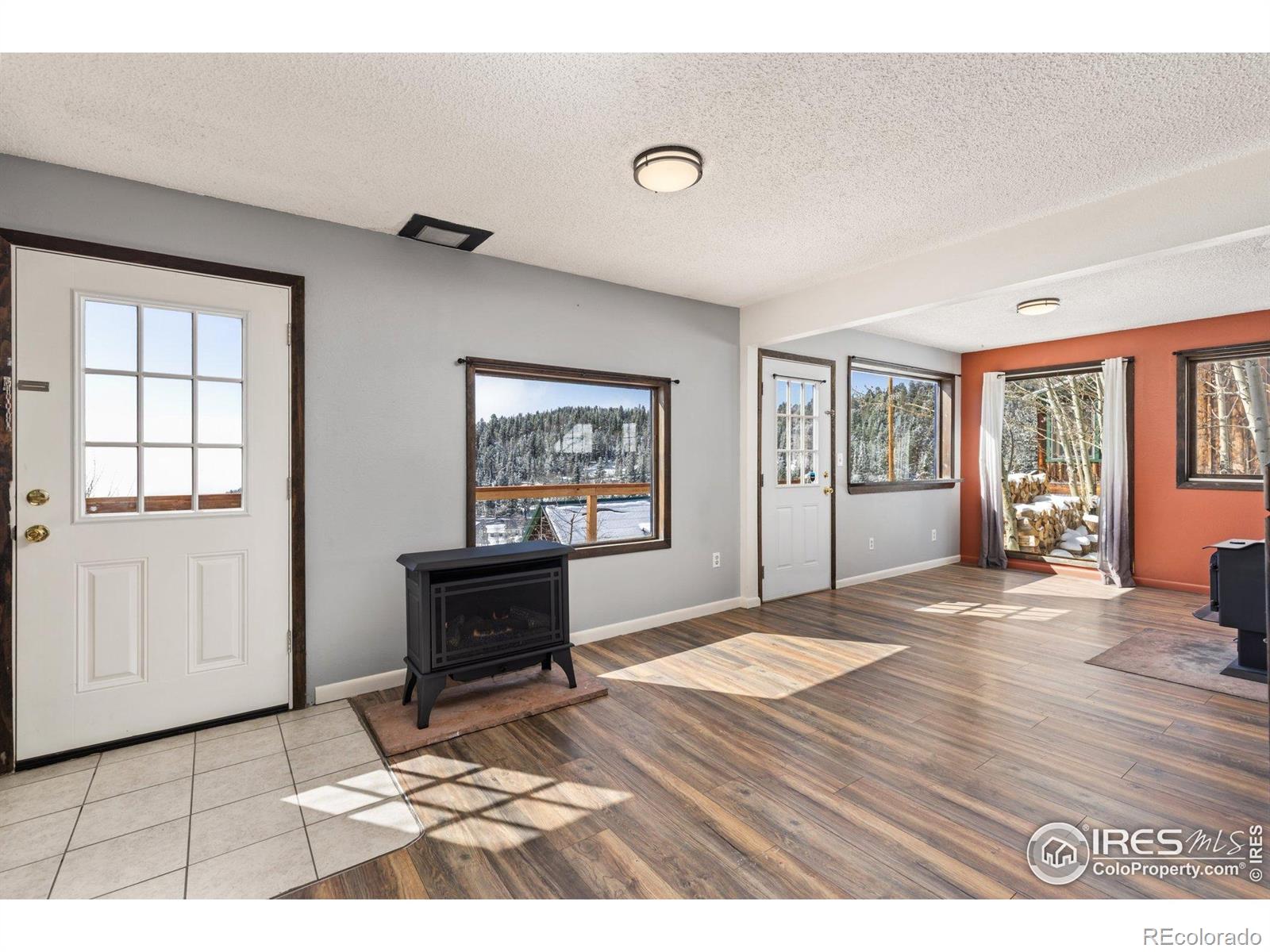 MLS Image #6 for 43  nelson street,ward, Colorado