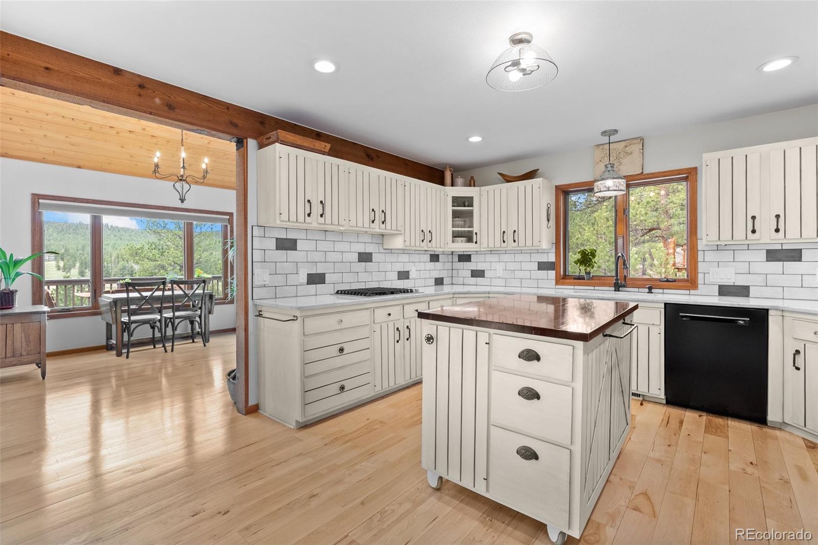 MLS Image #10 for 665  meadow drive,pine, Colorado